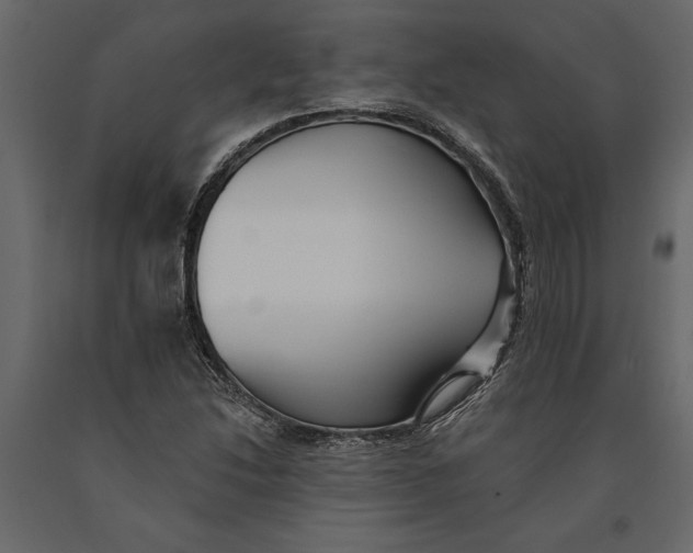 X0000091071214200708271209