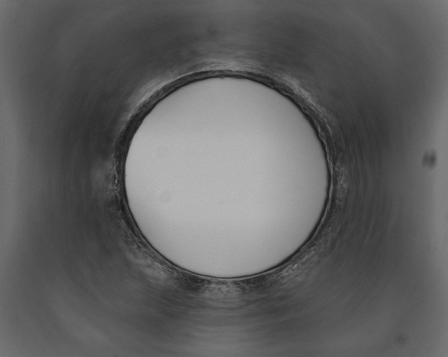 X0000091071215200708271209