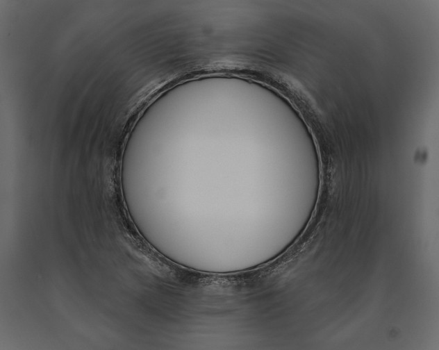 X0000091071217200708271209