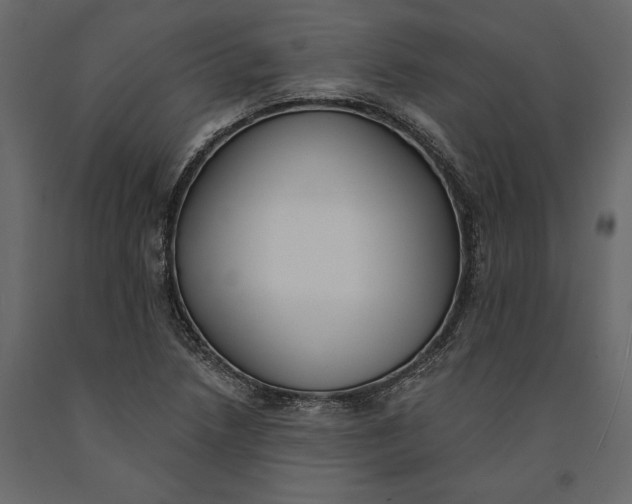 X0000091071218200708271209