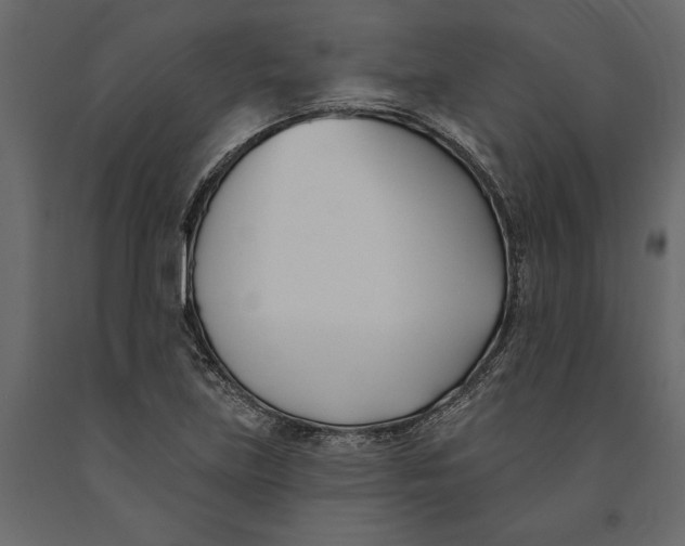 X0000091071219200708271209