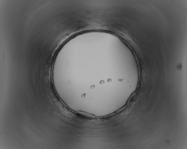 X0000091071220200708271209