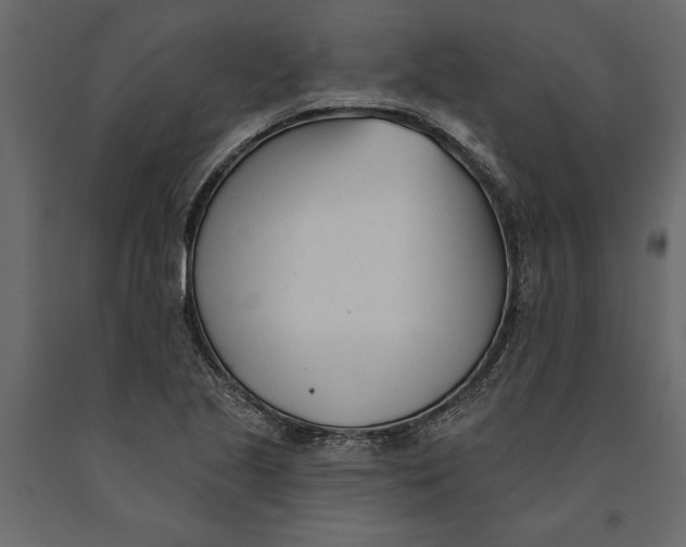 X0000091071221200708271209