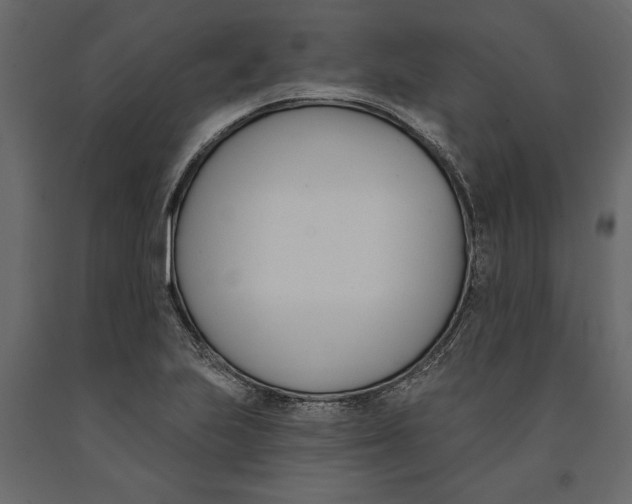 X0000091071223200708271209