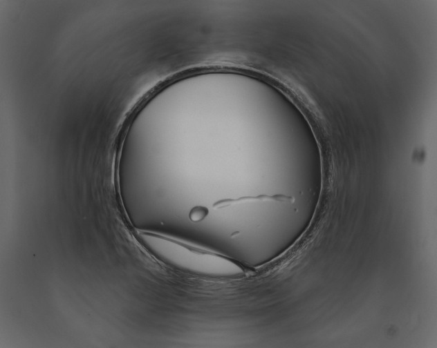 X0000091071224200708271209