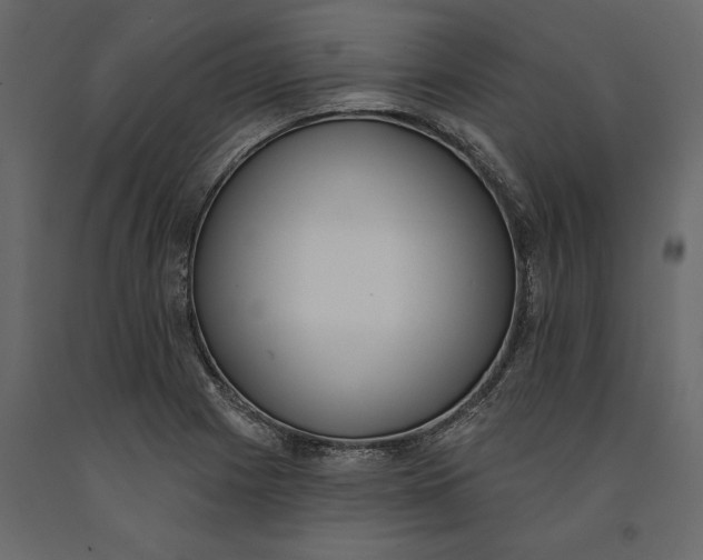 X0000091071225200708271209