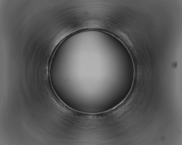 X0000091071226200708271209