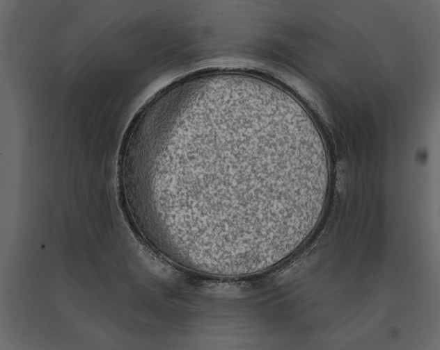 X0000091071229200708271209