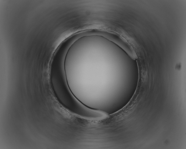 X0000091071230200708271209