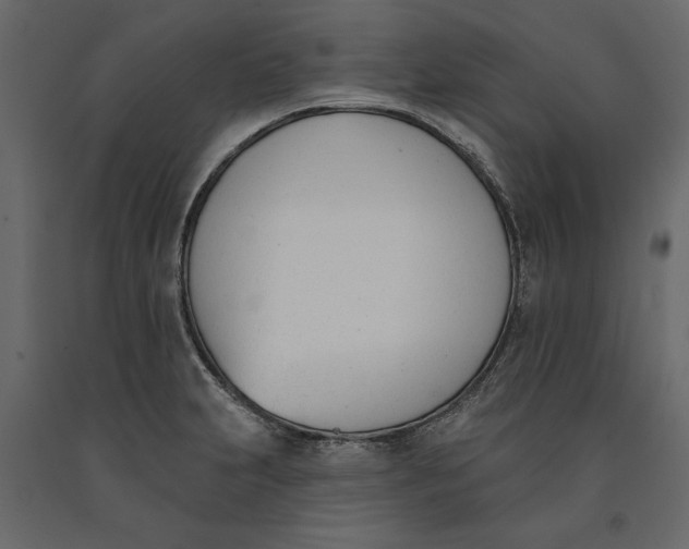 X0000091071231200708271209