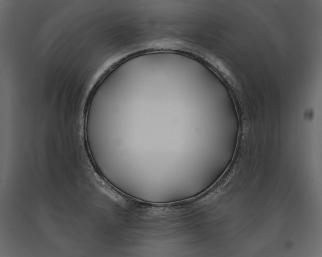 X0000091071232200708271209