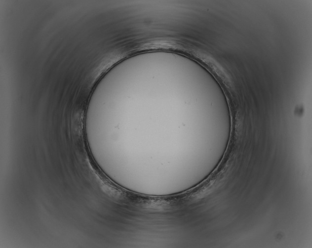 X0000091071233200708271209