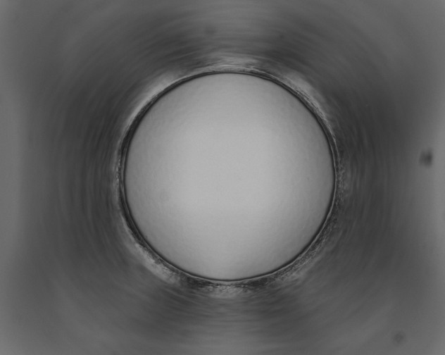 X0000091071235200708271209