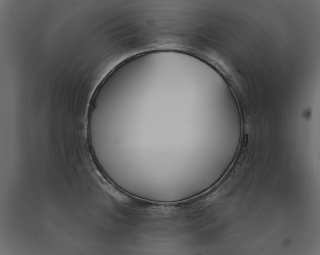 X0000091071236200708271209