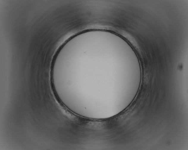 X0000091071237200708271209