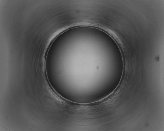 X0000091071238200708271209