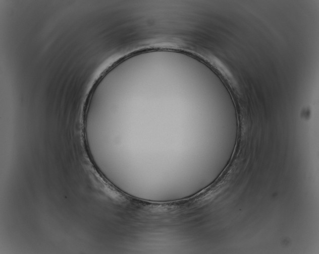 X0000091071240200708271209