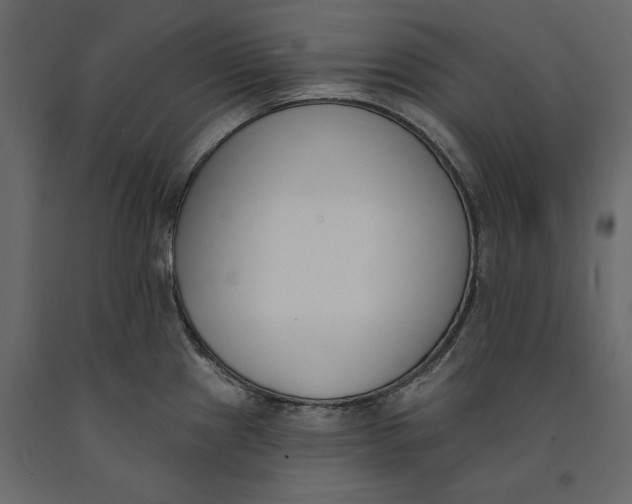 X0000091071241200708271209