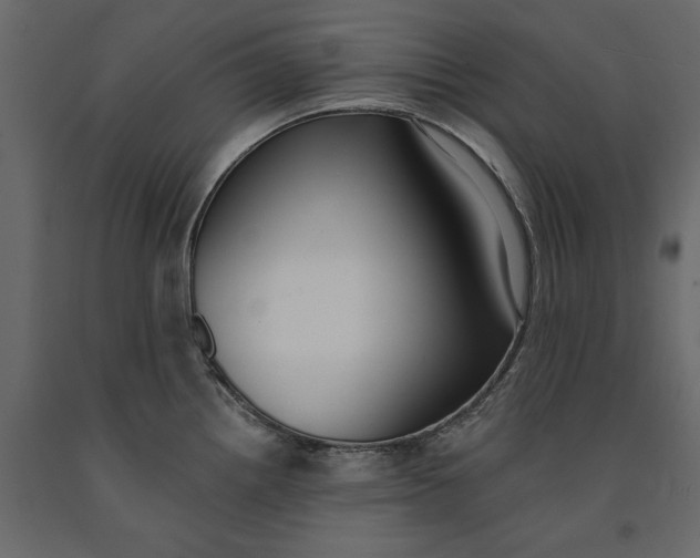 X0000091071242200708271209