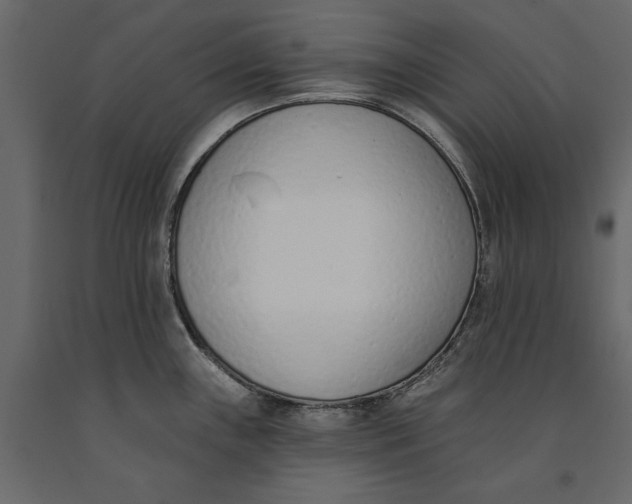 X0000091071243200708271209