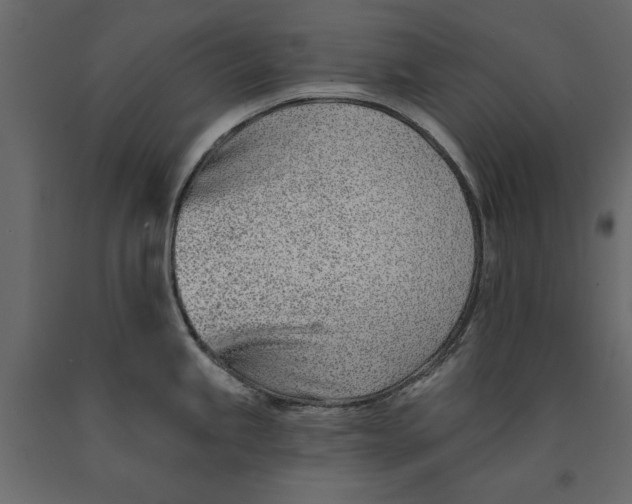 X0000091071245200708271209