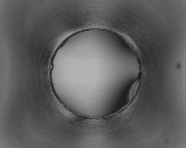 X0000091071246200708271209