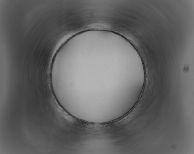 X0000091071248200708271209