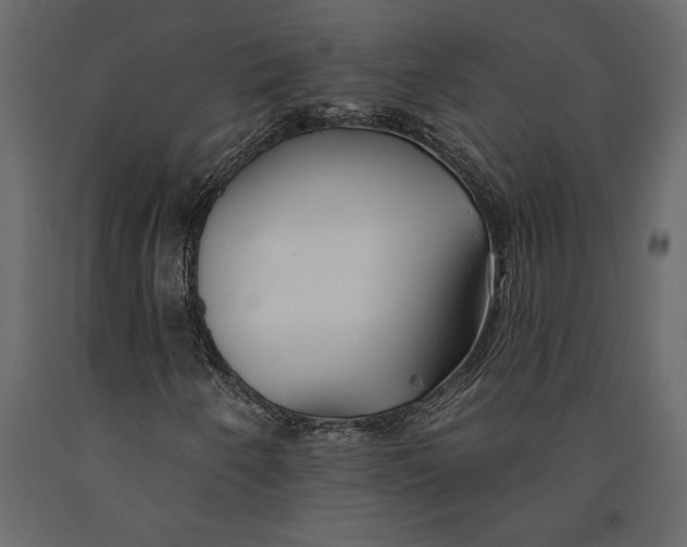 X0000091071250200708271209