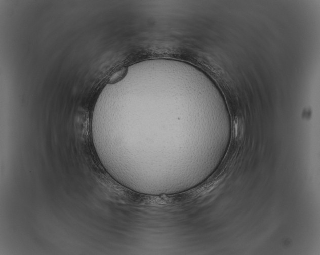 X0000091071251200708271209