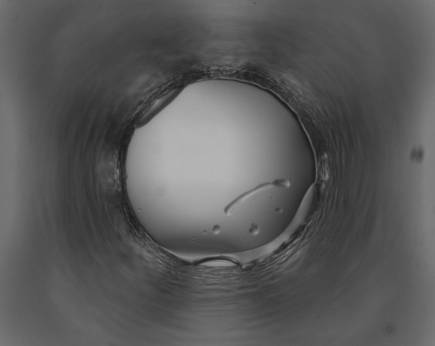 X0000091071252200708271209