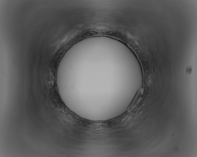 X0000091071253200708271209