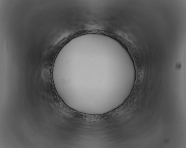 X0000091071254200708271209