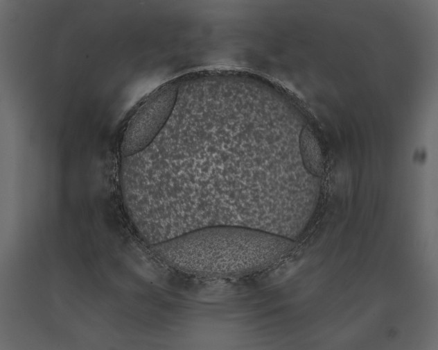 X0000091071255200708271209