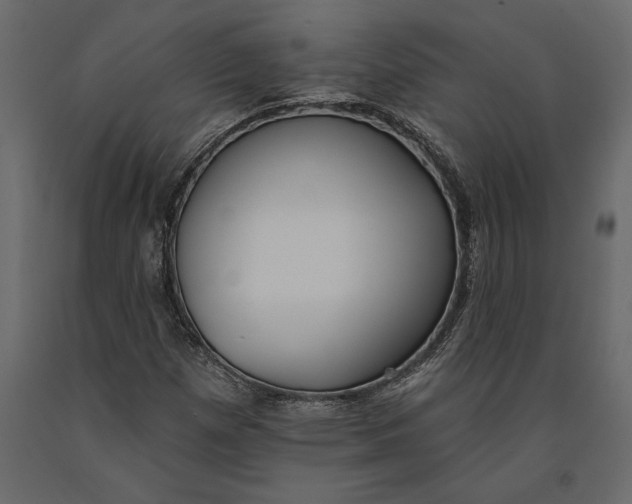 X0000091071257200708271209