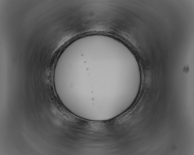 X0000091071258200708271208