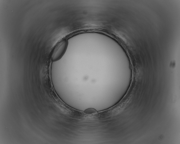 X0000091071259200708271208