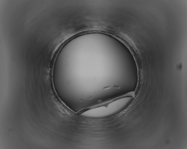 X0000091071260200708271208