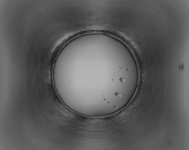 X0000091071262200708271208