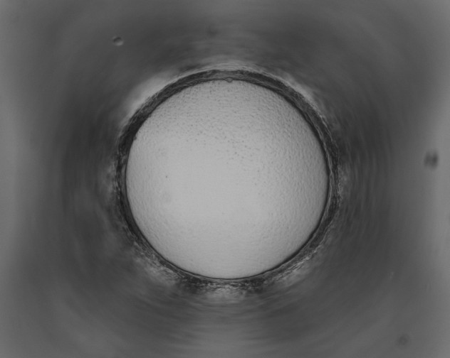 X0000091071263200708271208