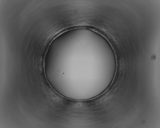 X0000091071265200708271208