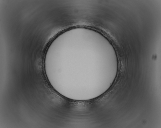 X0000091071266200708271208