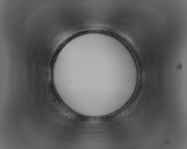 X0000091071267200708271208