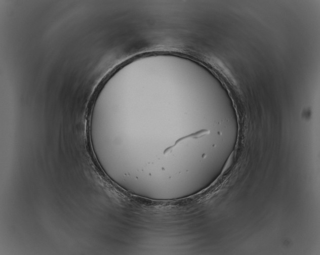 X0000091071268200708271208