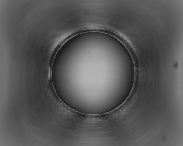 X0000091071269200708271208