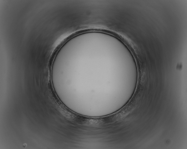 X0000091071271200708271208