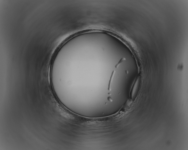 X0000091071272200708271208