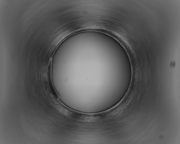 X0000091071273200708271208