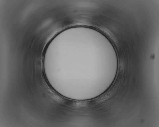 X0000091071274200708271208