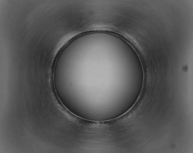 X0000091071277200708271208