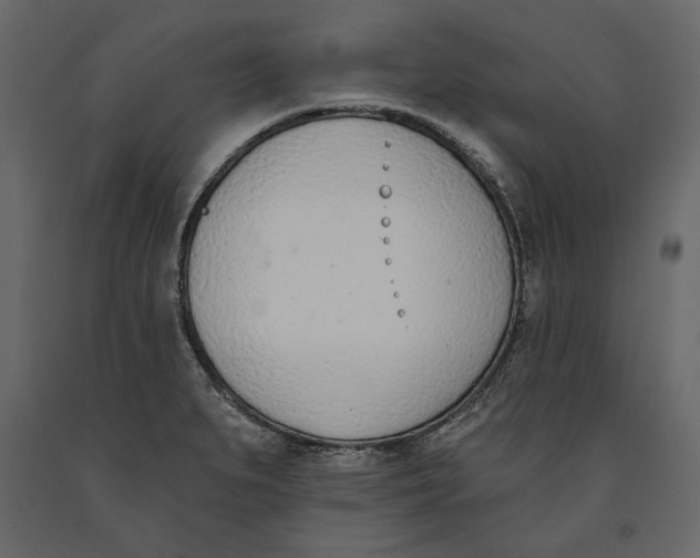 X0000091071279200708271208